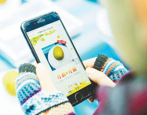 智慧大脑 人工智能应用软件开发如何重塑生活体验